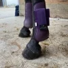 Hot Guêtres Norton violettes taille cheval Guêtres