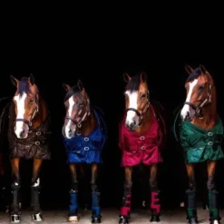 Outlet Guêtres Stable Boots Royal - Guêtres De Repos Et Soins