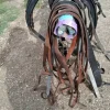 Clearance Harnais cheval de trait Harnais D'Attelage|Equipements D'Attelage