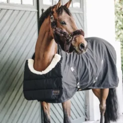 Horse Bib hiver - Kentucky Couvertures Cheval