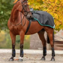 Outlet Horseware Couvre-reins Competition Sheet Couvre-Reins