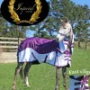 Best Imperial Equestrian Supplies Couvertures Cheval
