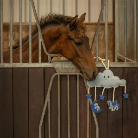 Jouet de box novy - - biodégradable et durable Aménagement De L'Écurie·Jouets Pour Chevaux