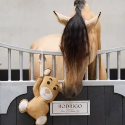 Jouet de box Teddy copain de box - Aménagement De L'Écurie·Jouets Pour Chevaux