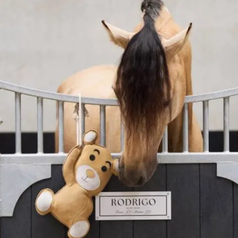Jouet de box Teddy copain de box - Aménagement De L'Écurie·Jouets Pour Chevaux