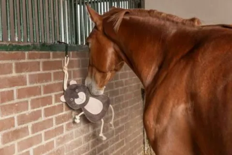 Jouet de boxe Ours - Aménagement De L'Écurie·Jouets Pour Chevaux