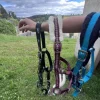 Online Licol Licols Et Longes