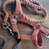 Hot Licol Licols Et Longes