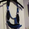 Clearance Licol Licols Et Longes
