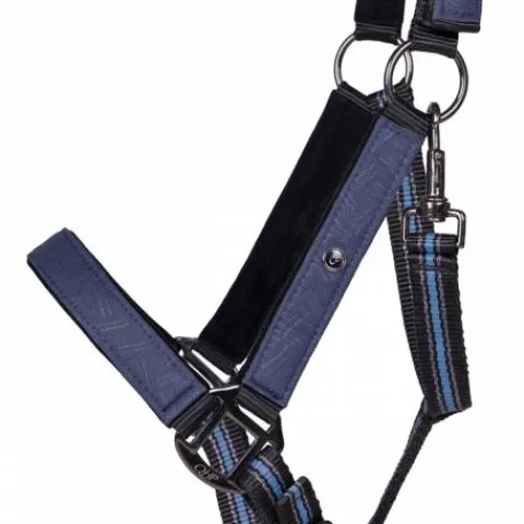 Online Licol + Longe AW24 Licols Et Longes