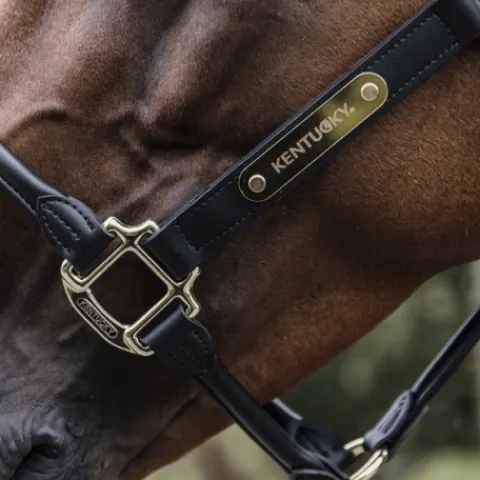 Outlet Licol anatomique en cuir - Kentucky Licols Et Longes