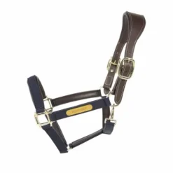 Online Licol anatomique nylon - Kentucky Licols Et Longes