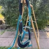 Best Licol bleu Licols Et Longes