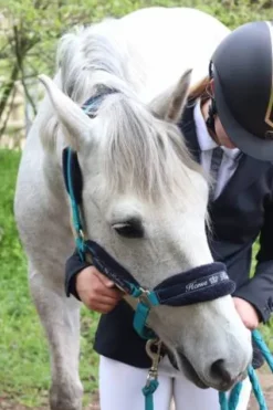 Best Licol bleu Licols Et Longes