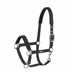 Clearance Licol classique - Licols Et Longes