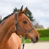 Hot Licol Clincher - Collection One Premium - Licols Et Longes