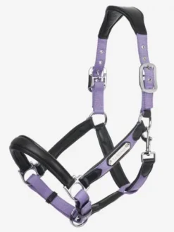 Online Licol cuir capella Licols Et Longes
