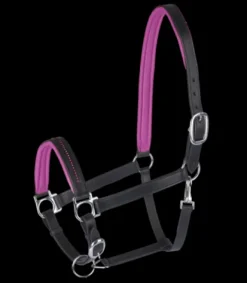 Online Licol cuir diamond Licols Et Longes