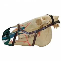 New Licol cuir Micklem - Horseware Licols Et Longes