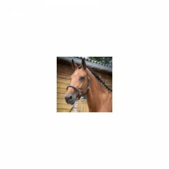 Licol de pansage - Collection One - Jump'in Licols Et Longes