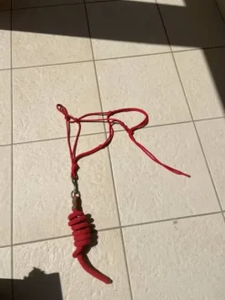 Sale Licol en corde rouge avec longe Licols Et Longes