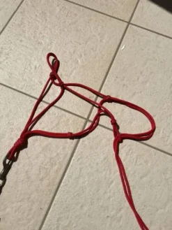 Sale Licol en corde rouge avec longe Licols Et Longes