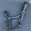 Sale Licol en cuir Licols Et Longes