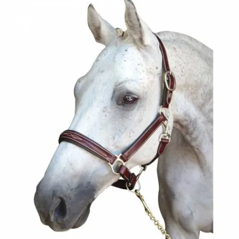 Sale Licol en cuir Denver - Lexington Licols Et Longes