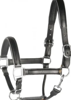 Licol en cuir doré ou argent - Harry's Horse Licols Et Longes