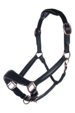 Outlet Licol en cuir Rosegold Poney Licols Et Longes