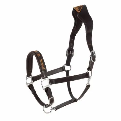 Sale Licol ergonomique en cuir vachette - - Confort optimal Licols Et Longes
