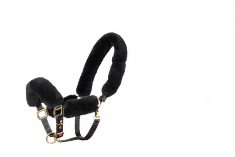 New Licol et longe Deluxe Edition hiver 2020 - Licols Et Longes