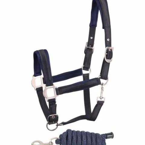 Sale Licol et longe Satin - - Ensemble confortable Licols Et Longes