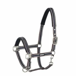 Licol ethologique Basics - - Nylon Licols Et Longes