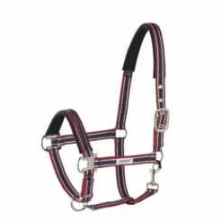 Licol ethologique Basics - - Nylon Licols Et Longes
