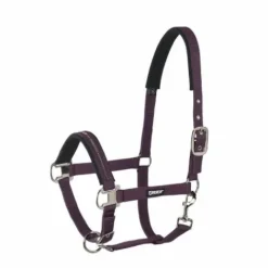 Licol ethologique Basics - - Nylon Licols Et Longes