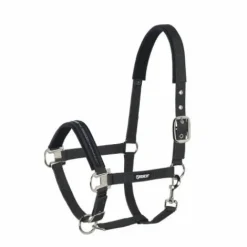 Licol ethologique Basics - - Nylon Licols Et Longes