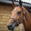Online Licol Fancy - Collection One - Licols Et Longes