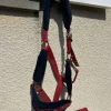 Clearance Licol Licols Et Longes
