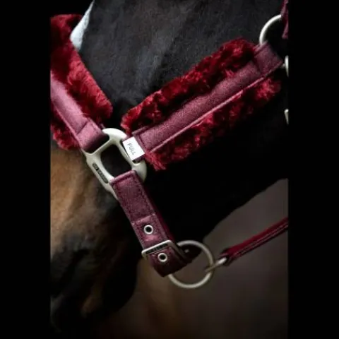 Sale Licol Hollywood Glamorous - - Bande pailletée et strass Licols Et Longes