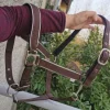Sale Licol neuf Licols Et Longes