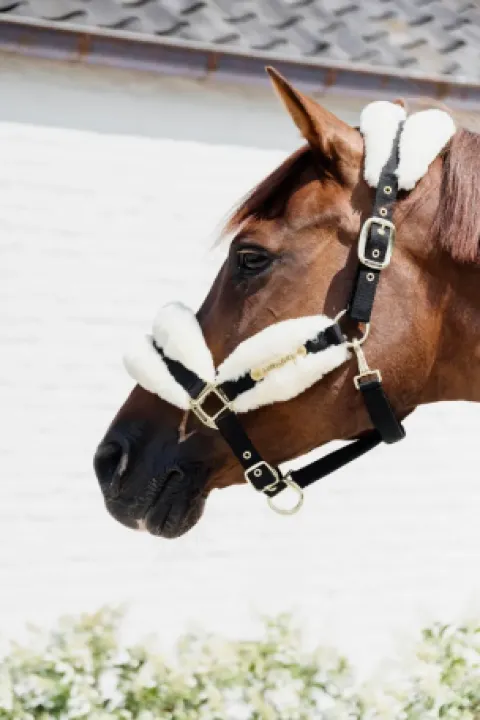 Online Licol nylon mouton Soft - Kentucky Licols Et Longes