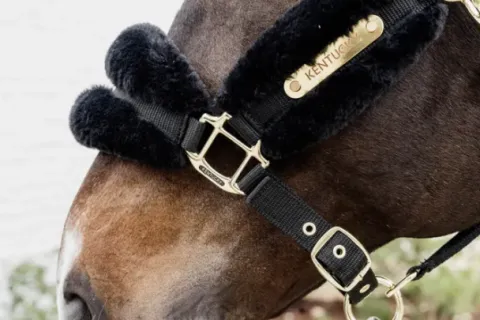 Online Licol nylon mouton Soft - Kentucky Licols Et Longes