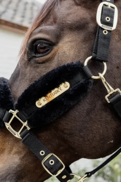 Online Licol nylon mouton Soft - Kentucky Licols Et Longes