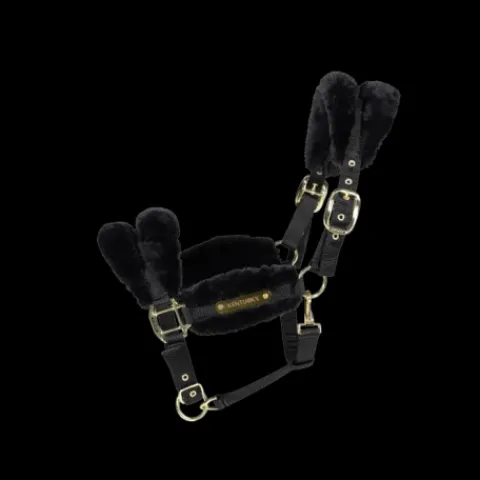 Online Licol nylon mouton Soft - Kentucky Licols Et Longes