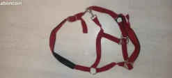 licol rouge Licols Et Longes