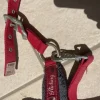Discount Licol rouge avec moumoute grise Licols Et Longes