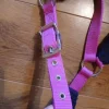 Clearance Licol taille cob Licols Et Longes