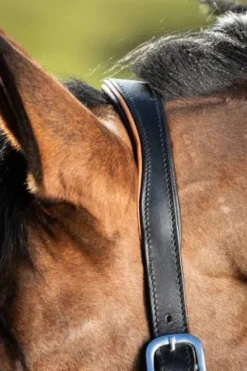 New Licol éthologique two-tone - - cuir souple Licols Et Longes