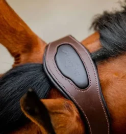 Online Licol tressé signature - - confort maximal Licols Et Longes